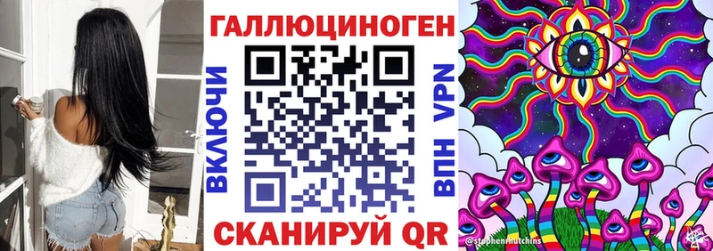 Псилоцибиновые грибы Psilocybe  Томмот 